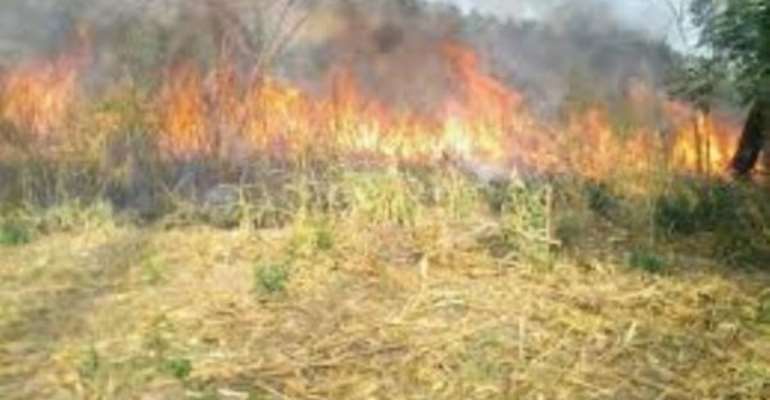 NAACA Support To The Victims of Yabraso Fire Outbreak
